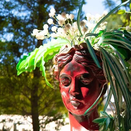 Cati Boutique 호텔 알라카티