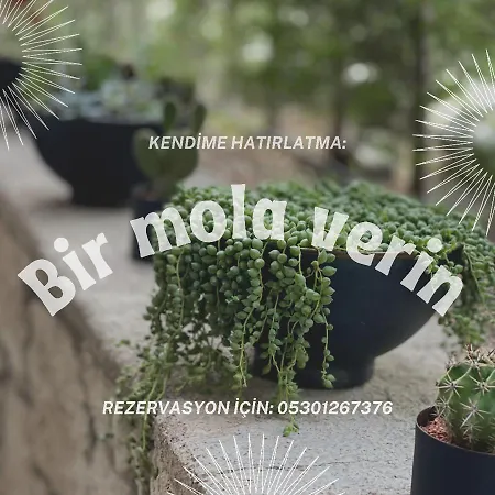 Hotell Cati Boutique *