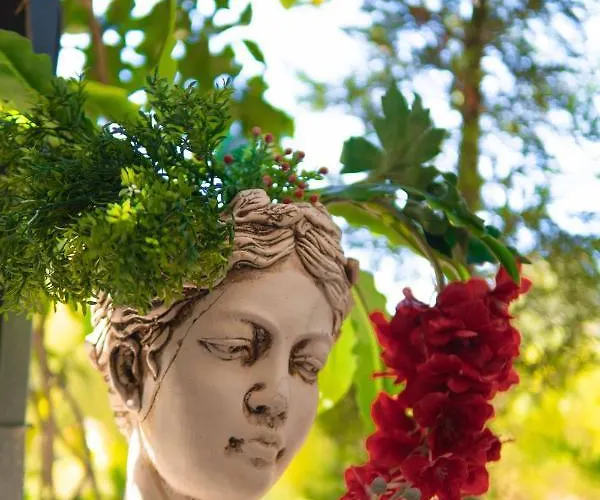 מלון Cati Boutique