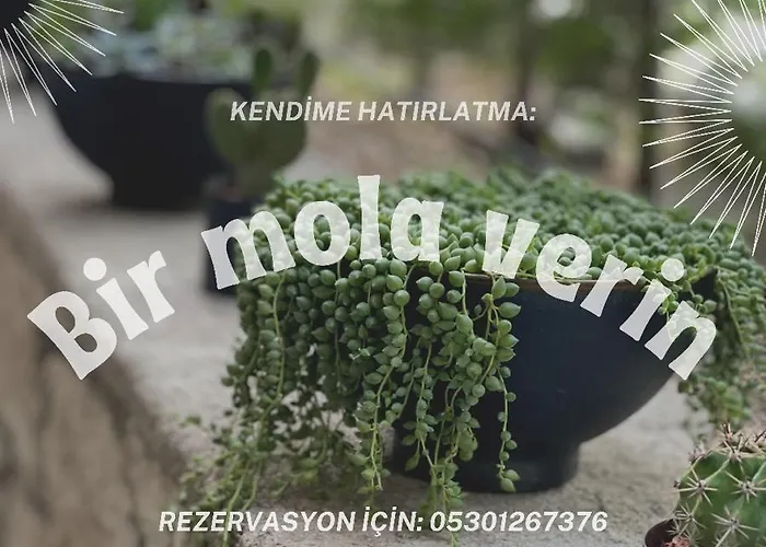 מלון Cati Boutique *